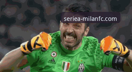 资深球迷必备：在米兰体育平台高效追踪世界杯动态的实用指南